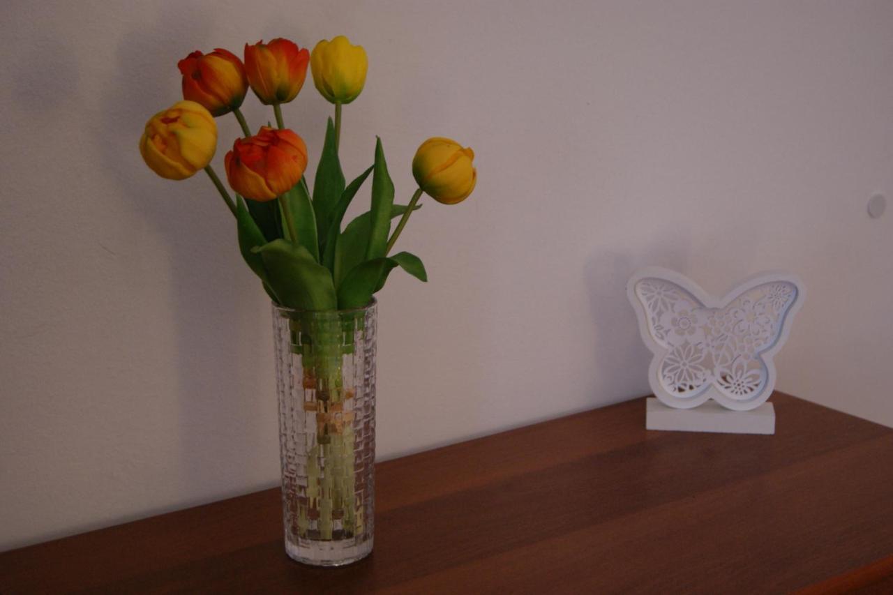 Apartment Lynx Кореница Экстерьер фото
